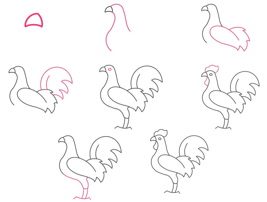 How to draw Rooster idea (26)