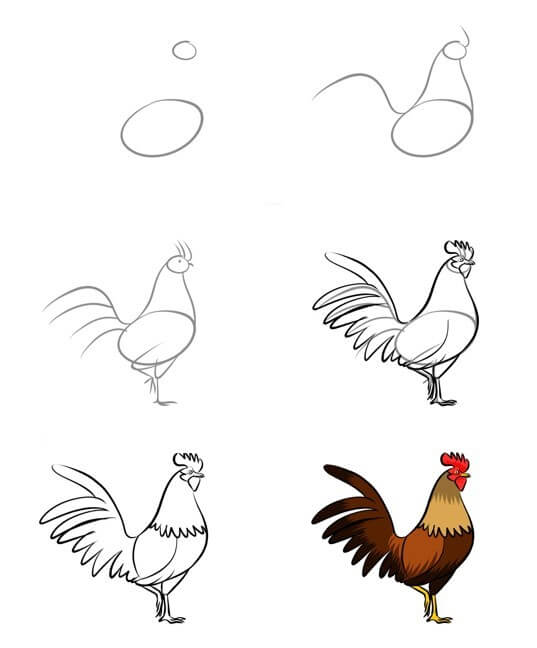 How to draw Rooster idea (27)