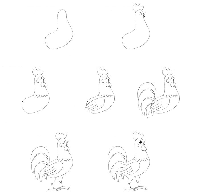 Rooster idea (28) Drawing Ideas