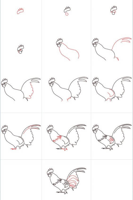 How to draw Rooster idea (3)