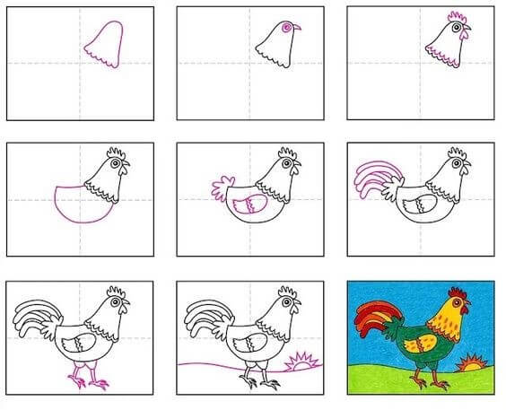 How to draw Rooster idea (4)