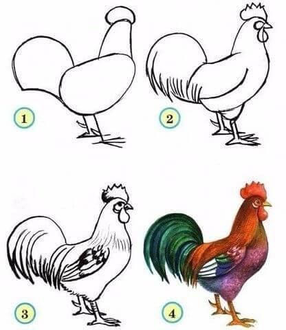 How to draw Rooster idea (9)