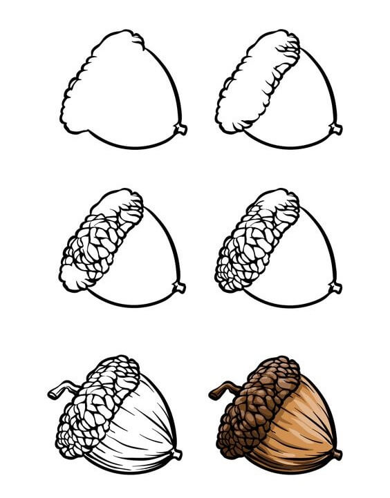 How to draw Acorn idea (1)