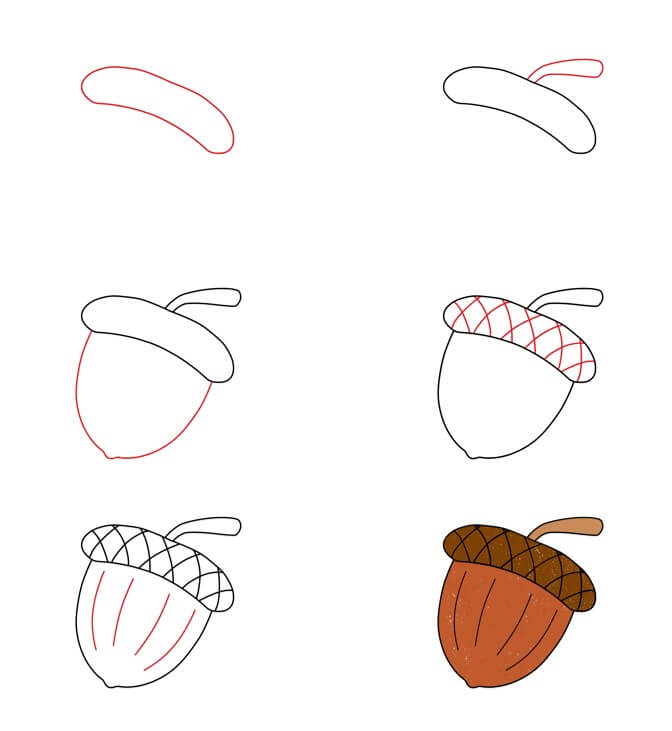 How to draw Acorn idea (10)