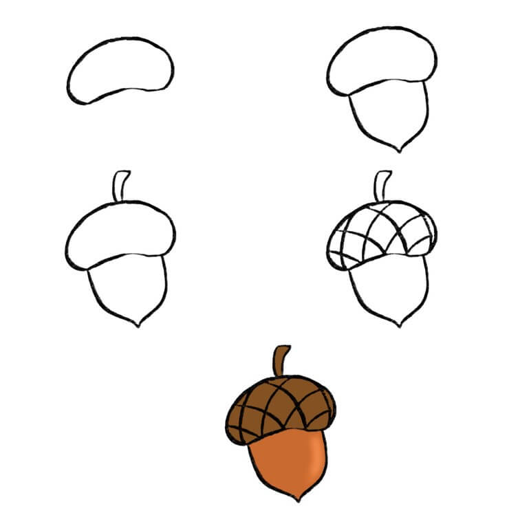 How to draw Acorn idea (2)