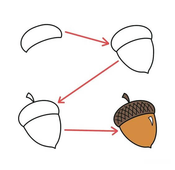 How to draw Acorn idea (5)