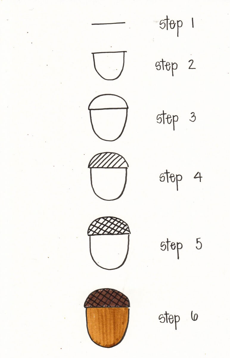 How to draw Acorn idea (6)