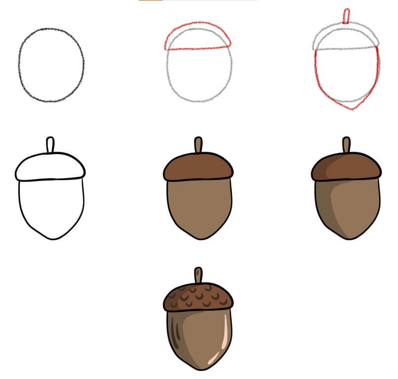 Acorn idea (8) Drawing Ideas