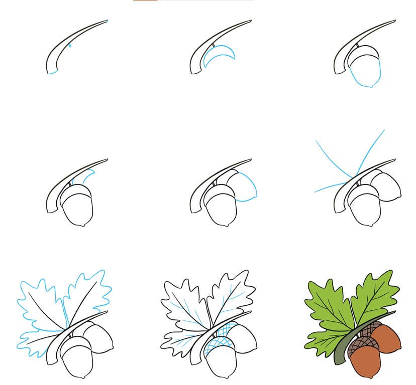 How to draw Acorn idea (9)