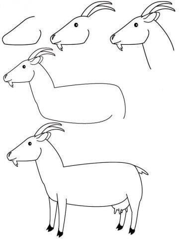 How to draw Goat idea (24)