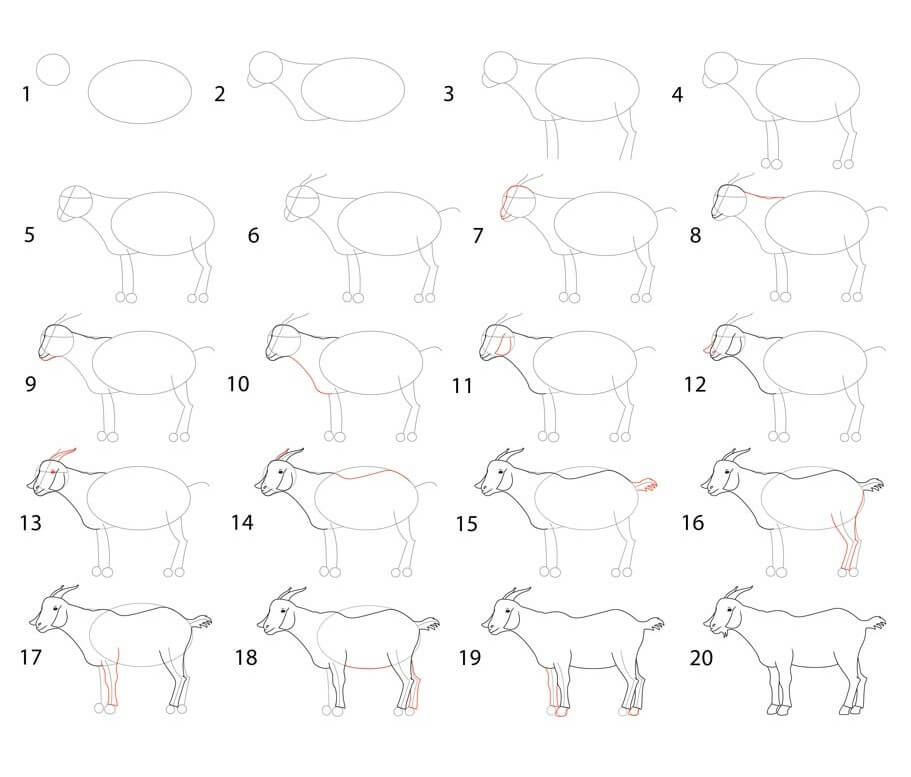 How to draw Goat idea (27)