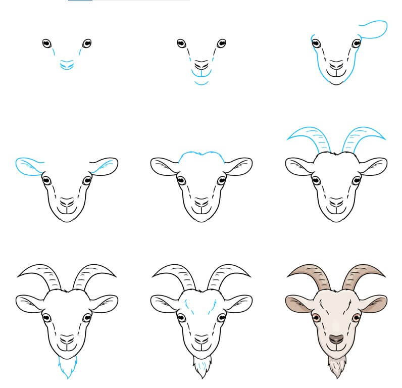 How to draw Goat idea (32)