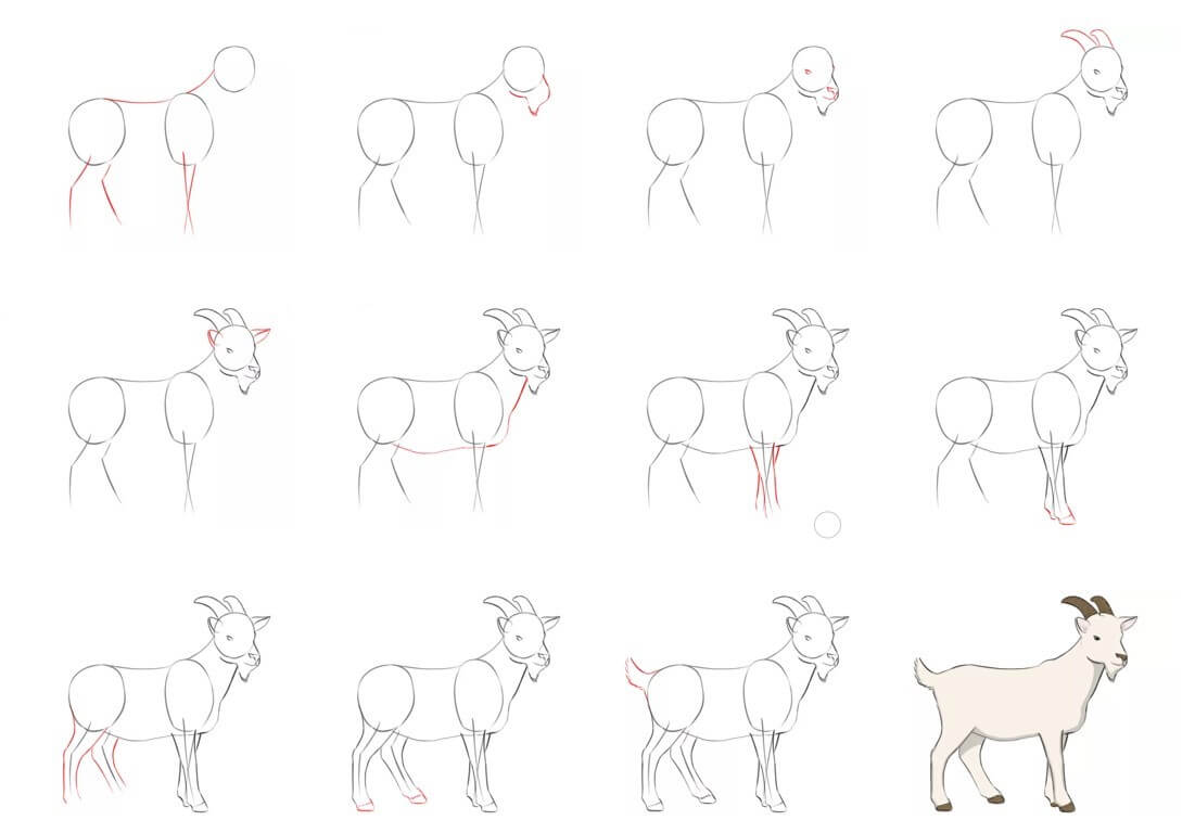 How to draw Goat idea (34)