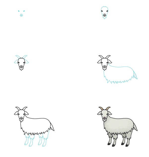 How to draw Goat idea (35)