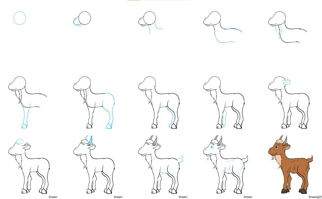 How to draw Goat idea (38)