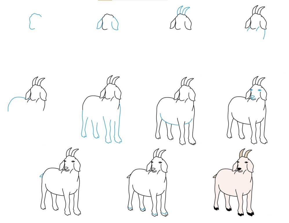 How to draw Goat idea (40)