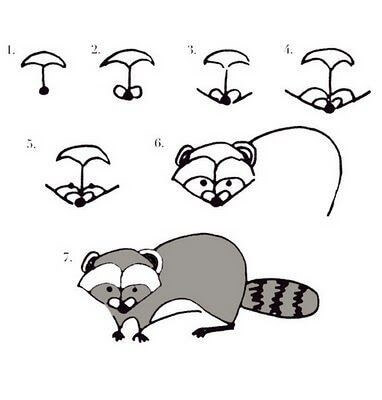 How to draw Raccoon idea (10)