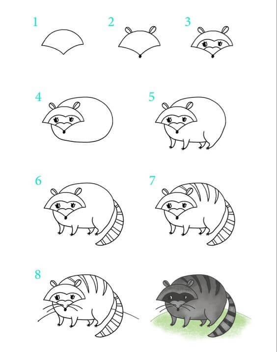 Raccoon idea (12) Drawing Ideas