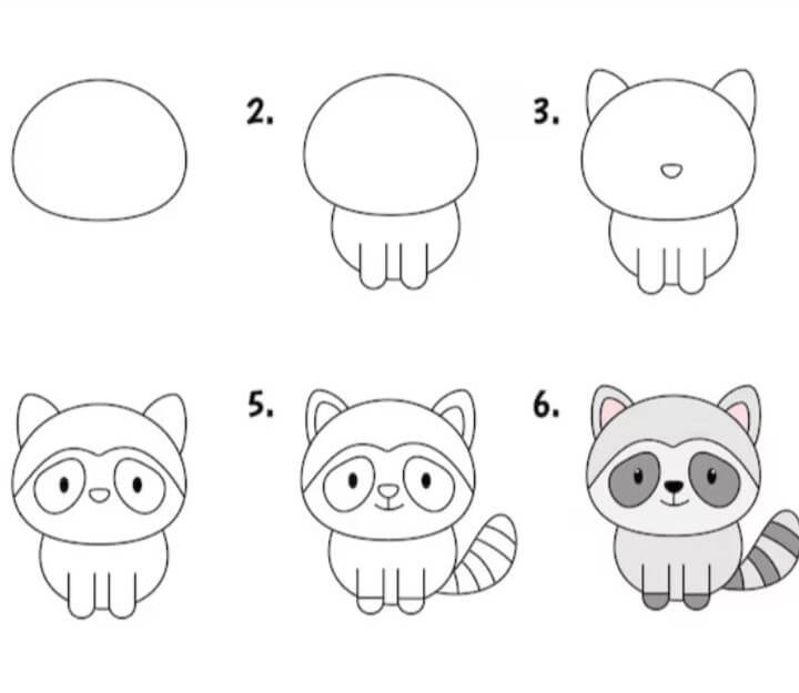 How to draw Raccoon idea (17)