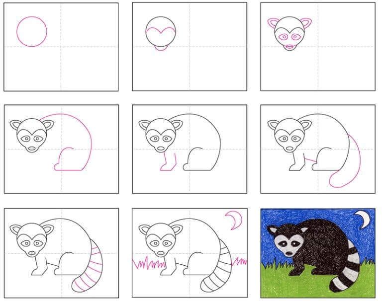 How to draw Raccoon idea (20)