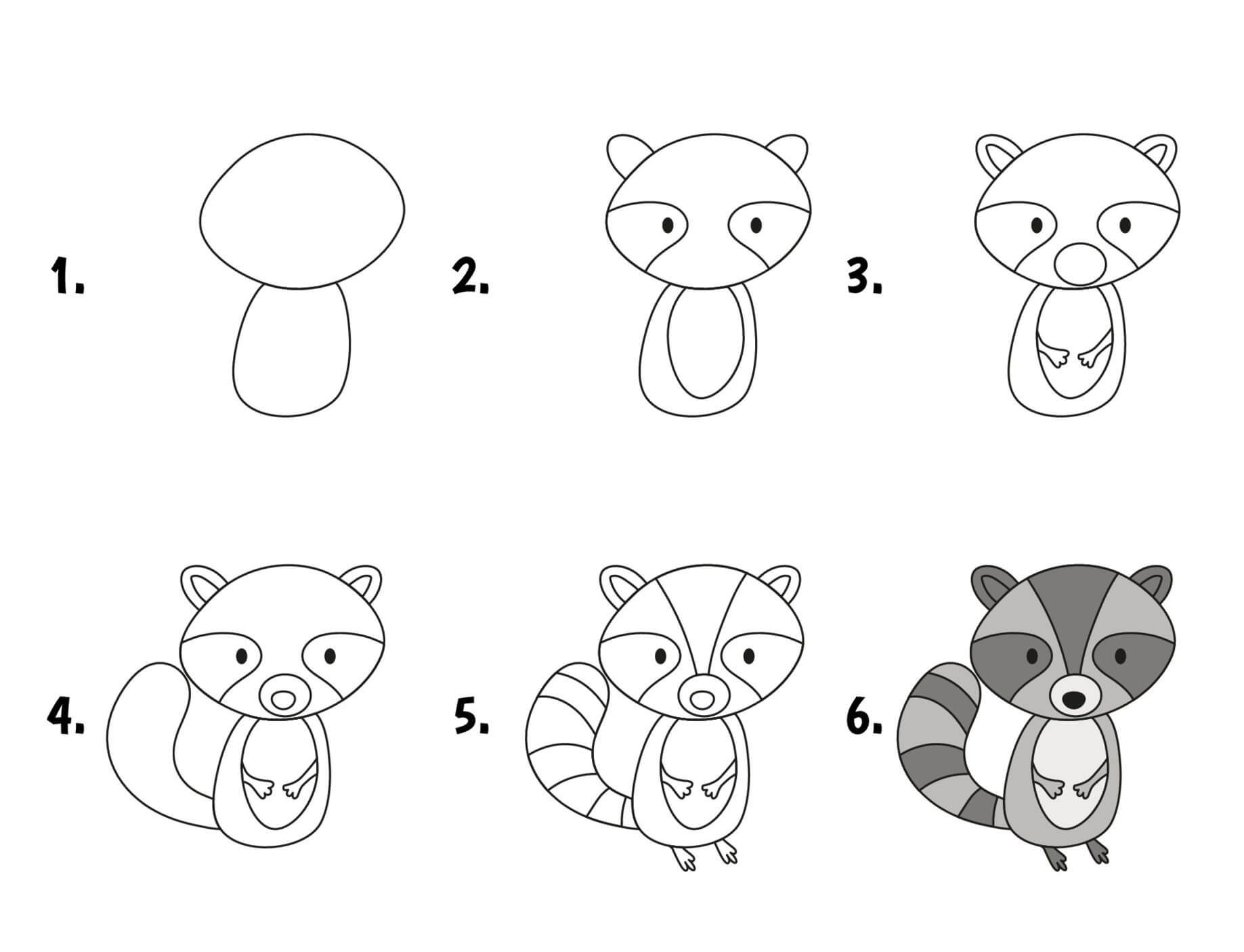 How to draw Raccoon idea (21)