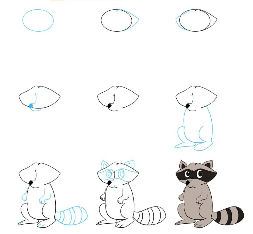 How to draw Raccoon idea (27)