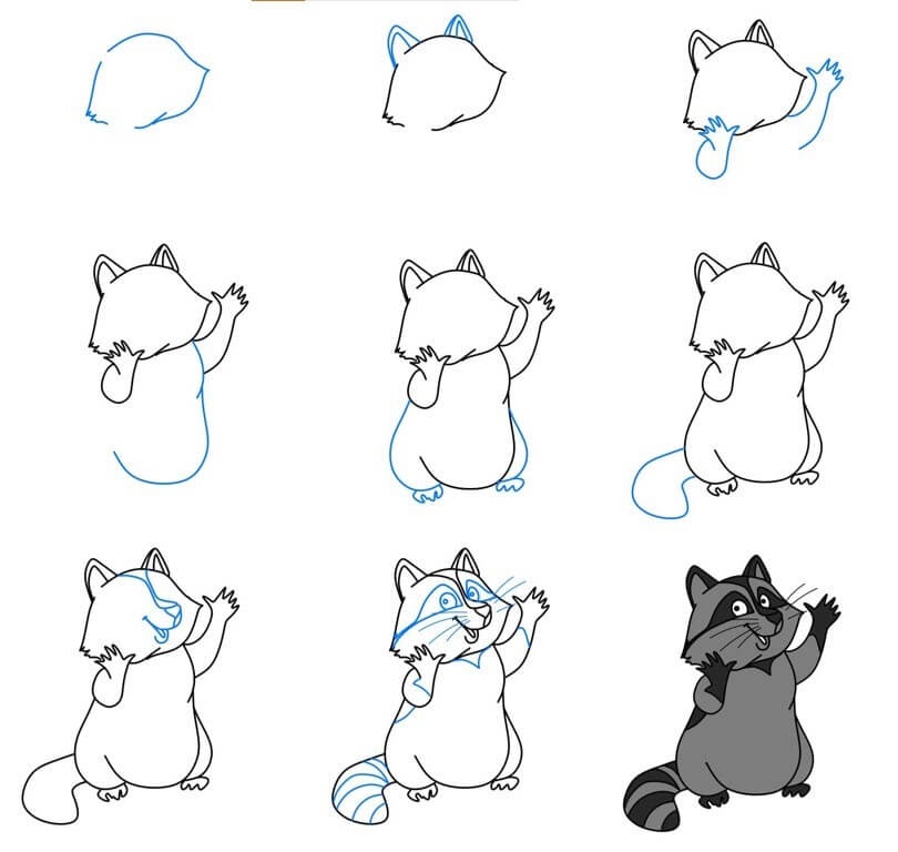 How to draw Raccoon idea (28)