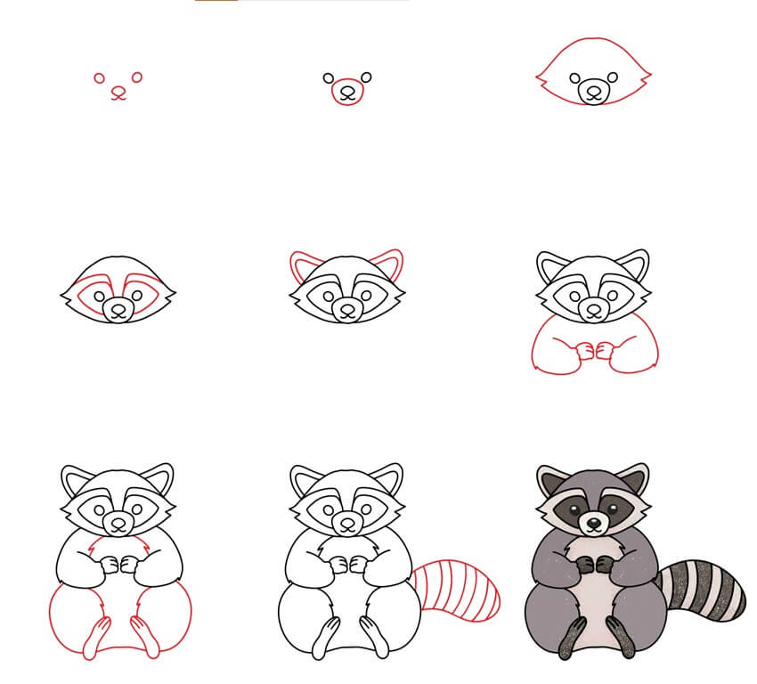 Raccoon idea (29) Drawing Ideas