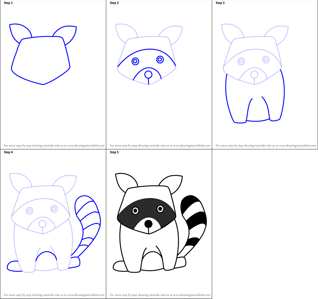 How to draw Raccoon simple