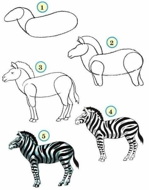 How to draw Zebra idea (15)