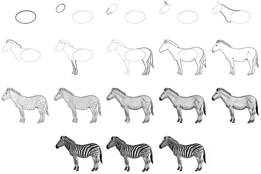 How to draw Zebra idea (23)