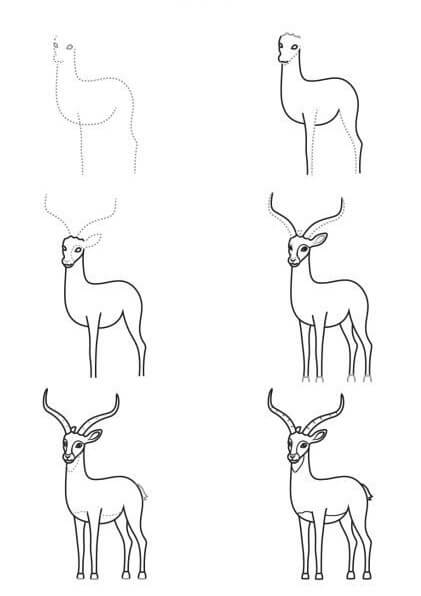 How to draw Antelope idea (1)