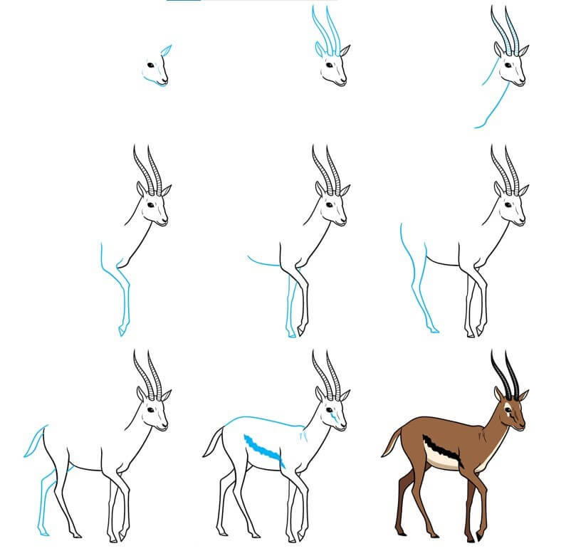 How to draw Antelope idea (10)