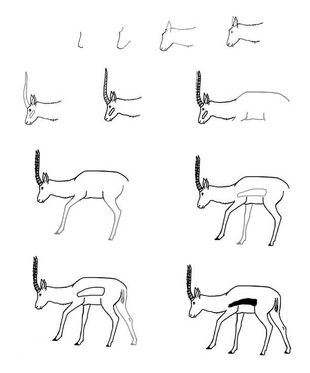 How to draw Antelope idea (11)