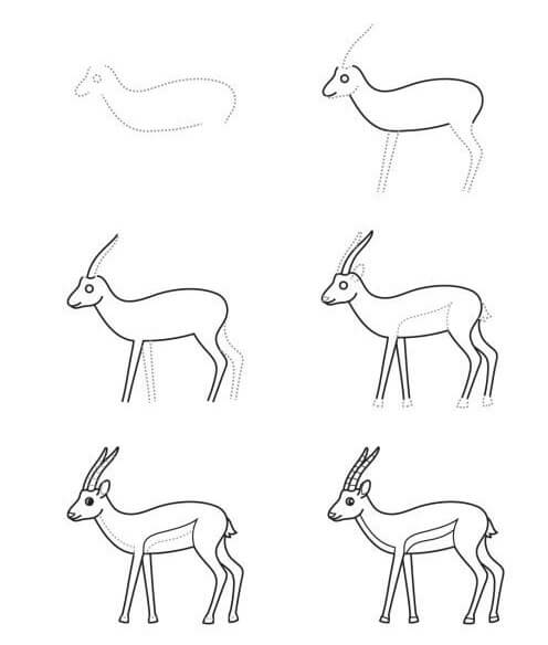 How to draw Antelope idea (2)