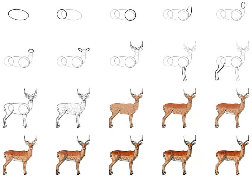 How to draw Antelope idea (3)