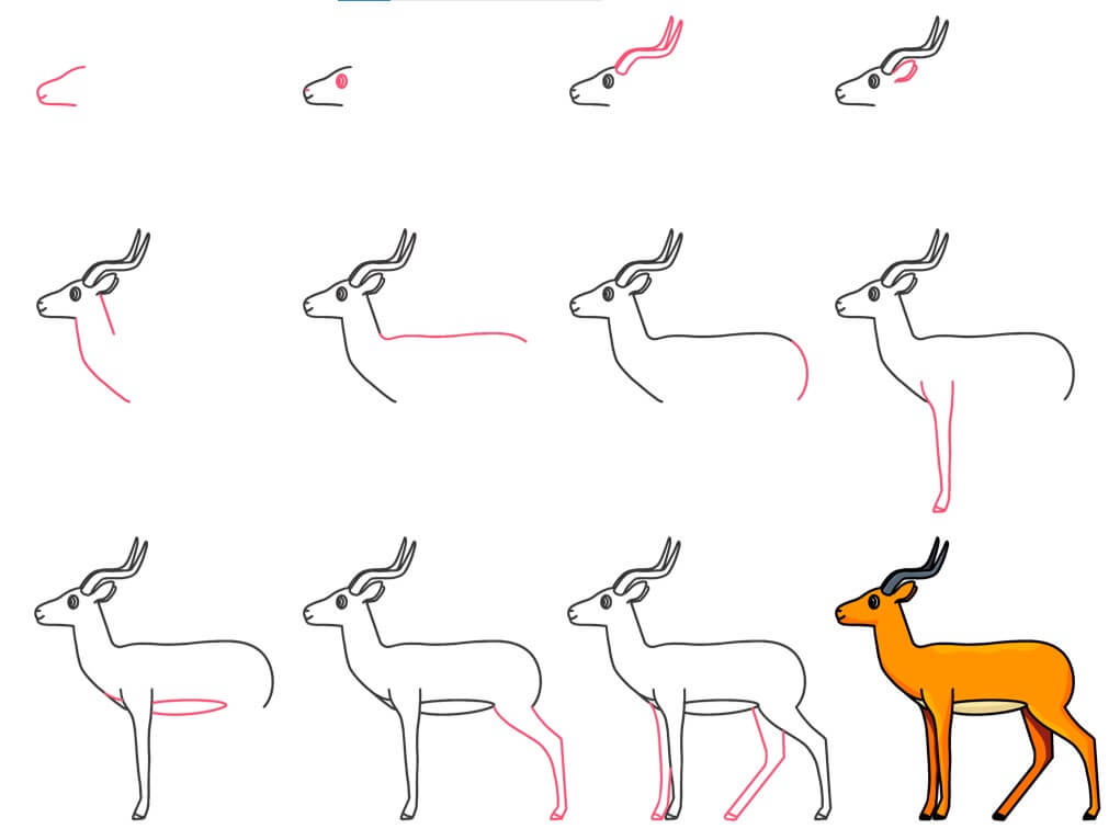 How to draw Antelope idea (4)