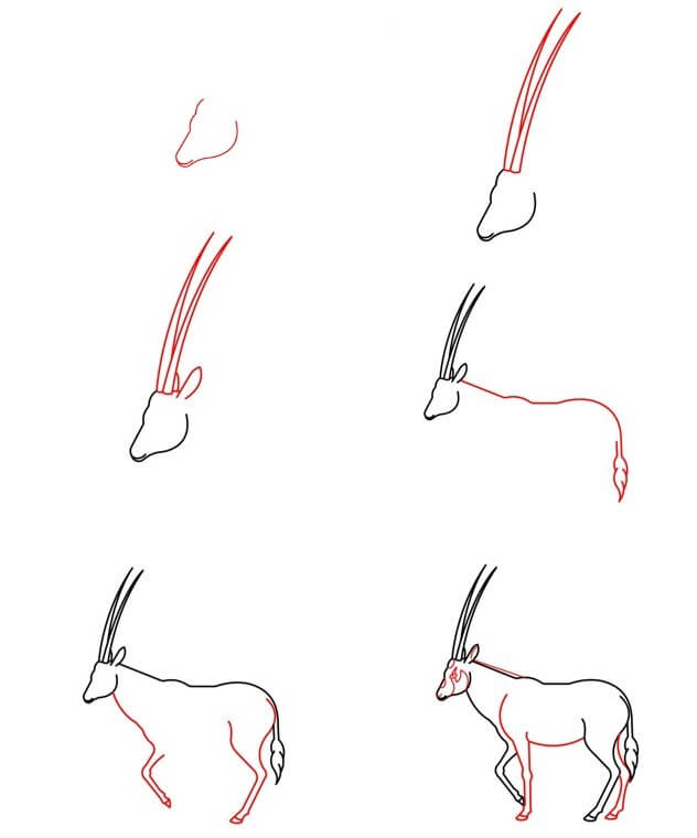 How to draw Antelope idea (6)