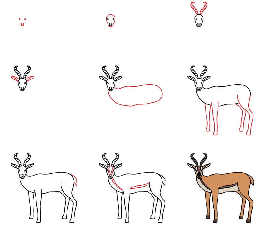 Antelope idea (7) Drawing Ideas