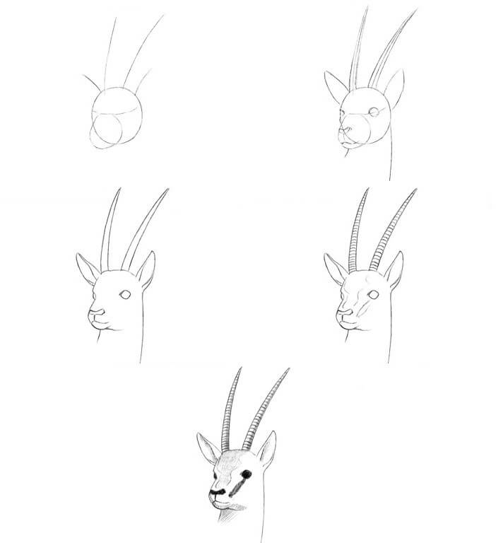 How to draw Antelope idea (8)