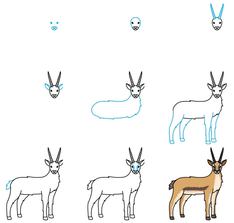 How to draw Antelope idea (9)