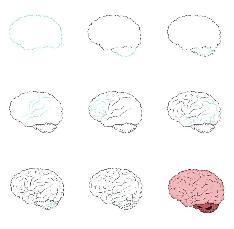 How to draw Brain idea (10)