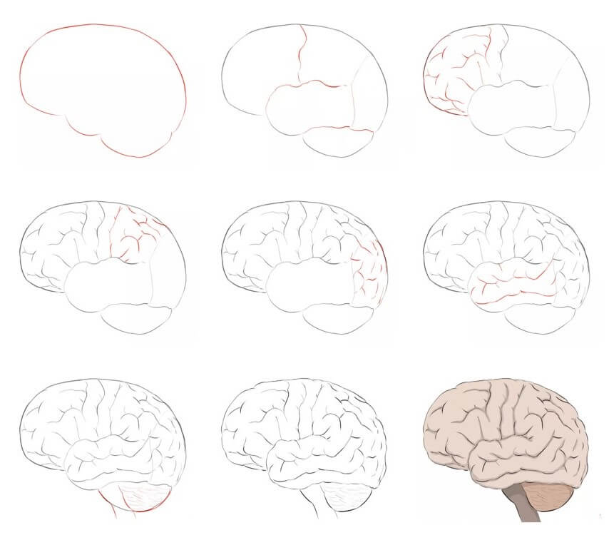 How to draw Brain idea (19)