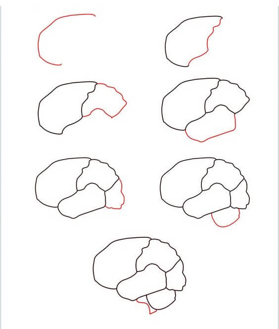 How to draw Brain idea (2)