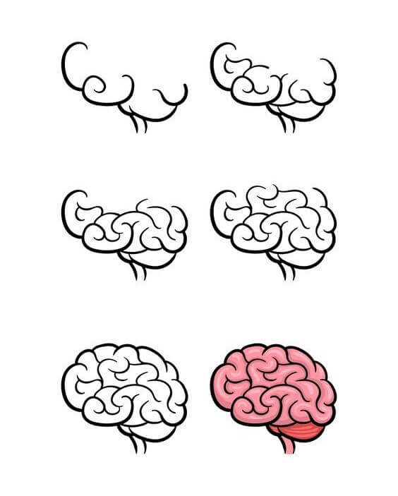 Brain idea (3) Drawing Ideas