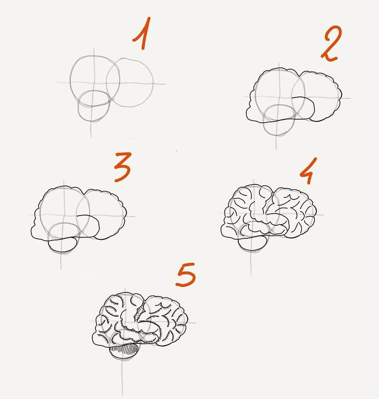 How to draw Brain idea (4)