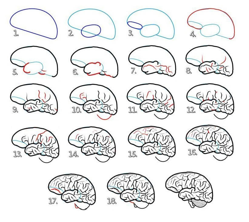 How to draw Brain idea (7)