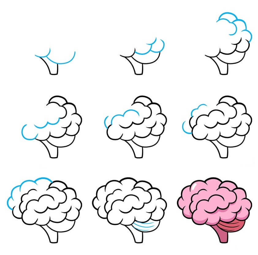 How to draw Brain idea (9)