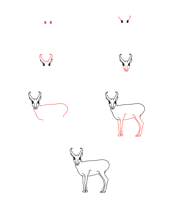 Cartoon Antelope Drawing Ideas