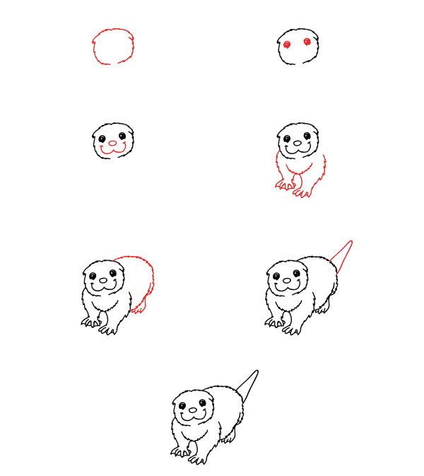 How to draw Cartoon otter